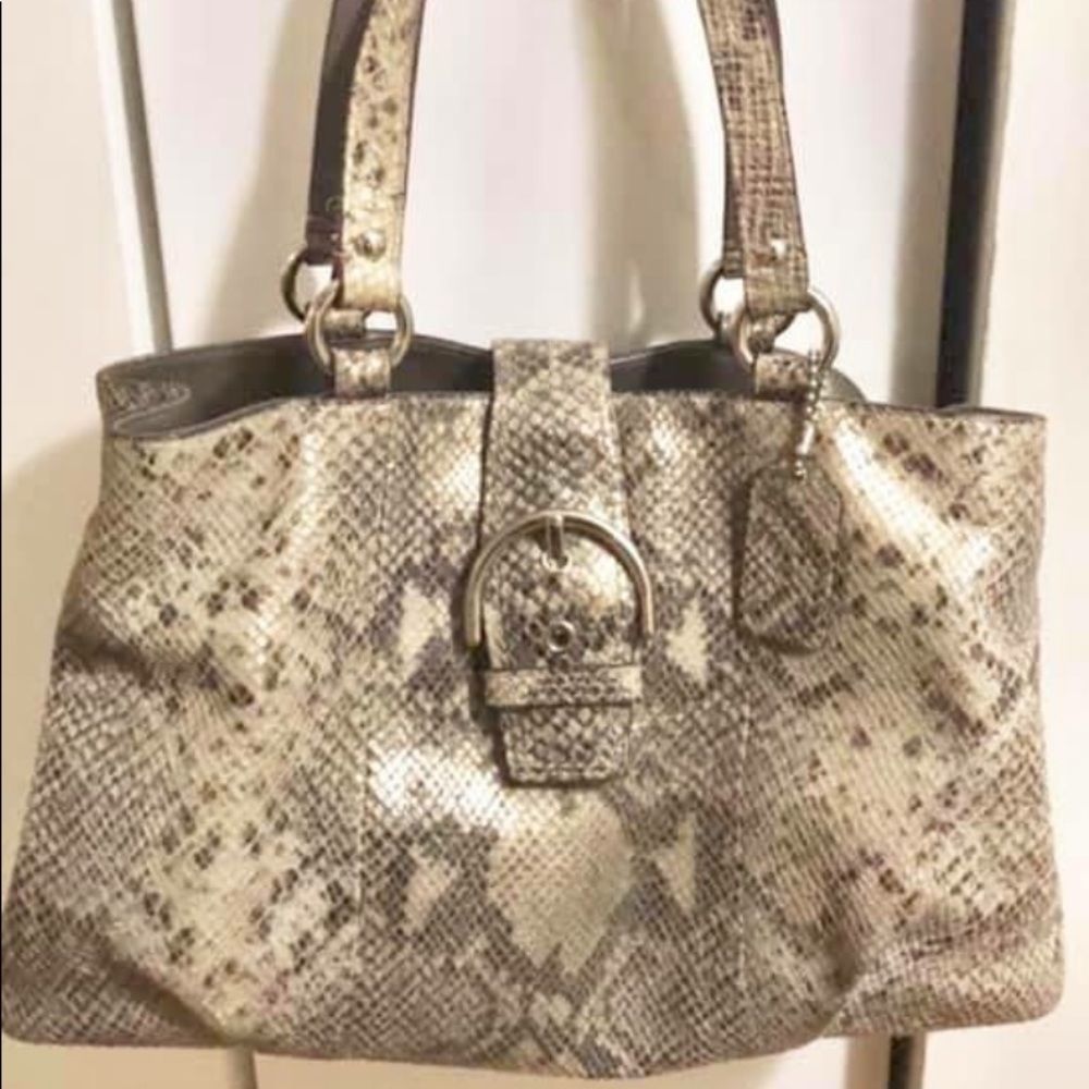 Snakeskin print leather Coach handbag